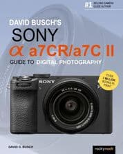 David Busch's Sony Alpha A7cr/A7c II Guide to Digital Photography